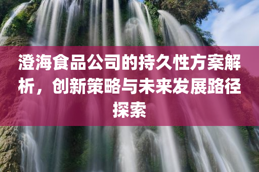 澄海食品公司的持久性方案解析，创新策略与未来发展路径探索