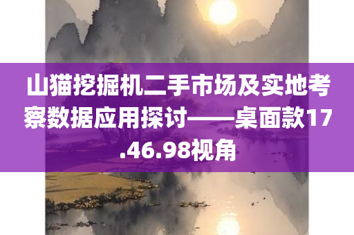 山猫挖掘机二手市场及实地考察数据应用探讨——桌面款17.46.98视角