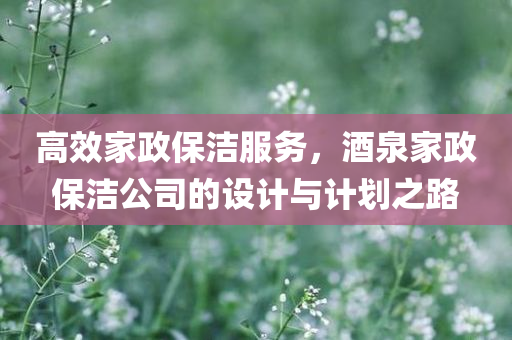 高效家政保洁服务，酒泉家政保洁公司的设计与计划之路