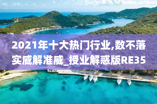 2021年十大热门行业,数不落实威解准威_授业解惑版RE35