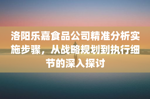 洛阳乐嘉食品公司精准分析实施步骤，从战略规划到执行细节的深入探讨