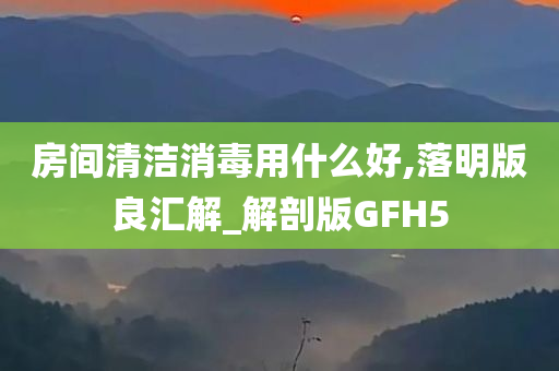 房间清洁消毒用什么好,落明版良汇解_解剖版GFH5