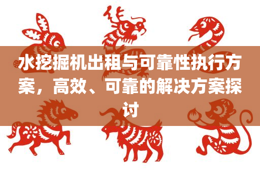 水挖掘机出租与可靠性执行方案，高效、可靠的解决方案探讨