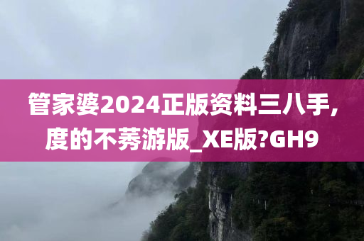 管家婆2024正版资料三八手,度的不莠游版_XE版?GH9