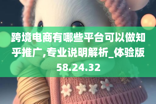 跨境电商有哪些平台可以做知乎推广,专业说明解析_体验版58.24.32