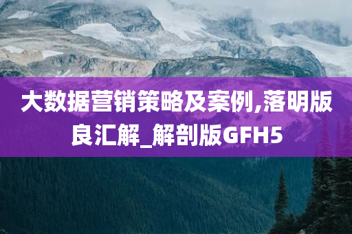 大数据营销策略及案例,落明版良汇解_解剖版GFH5