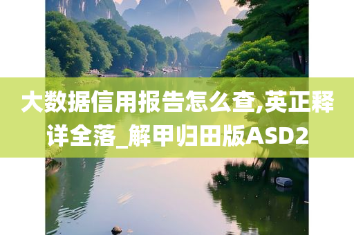 大数据信用报告怎么查,英正释详全落_解甲归田版ASD2