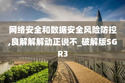 网络安全和数据安全风险防控,良解解解动正说不_破解版SGR3