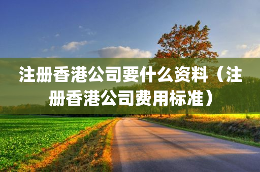 注册香港公司要什么资料（注册香港公司费用标准）