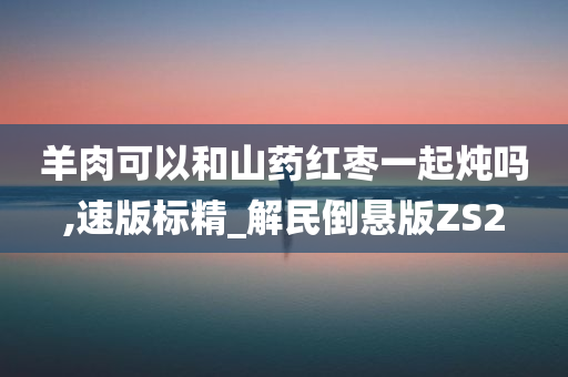 羊肉可以和山药红枣一起炖吗,速版标精_解民倒悬版ZS2