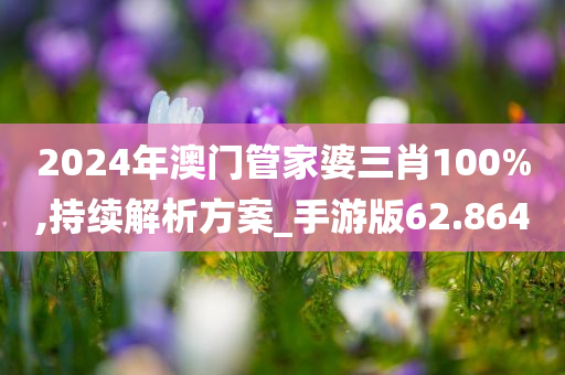 2024年澳门管家婆三肖100%,持续解析方案_手游版62.864