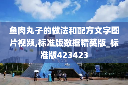 鱼肉丸子的做法和配方文字图片视频,标准版数据精英版_标准版423423