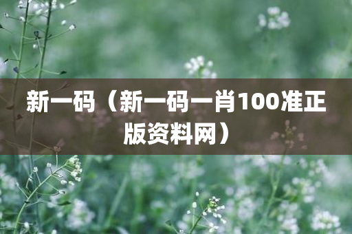 新一码（新一码一肖100准正版资料网）