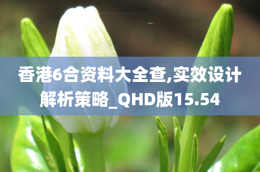 香港6合资料大全查,实效设计解析策略_QHD版15.54