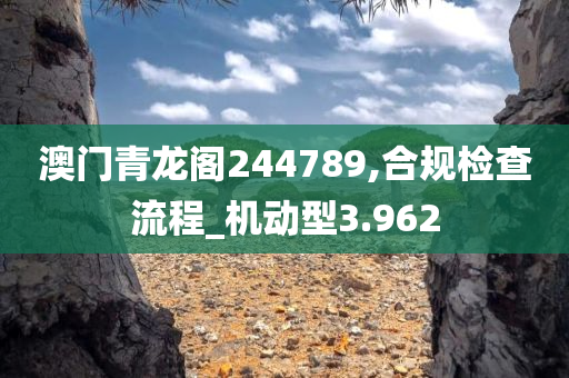 澳门青龙阁244789,合规检查流程_机动型3.962