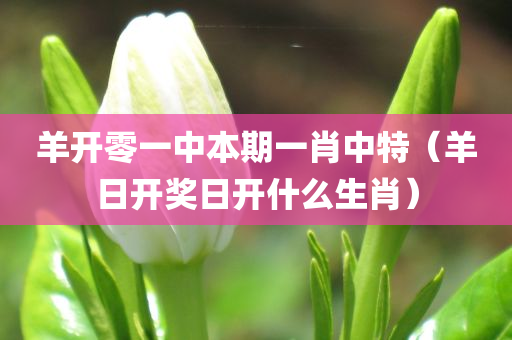 羊开零一中本期一肖中特（羊日开奖日开什么生肖）