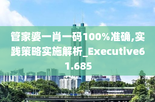 管家婆一肖一码100%准确,实践策略实施解析_Executive61.685