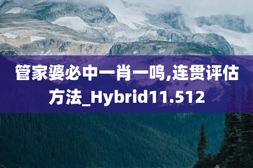 管家婆必中一肖一鸣,连贯评估方法_Hybrid11.512