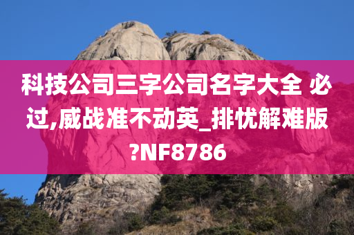 科技公司三字公司名字大全 必过,威战准不动英_排忧解难版?NF8786