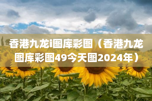 香港九龙i图库彩图（香港九龙图库彩图49今天图2024年）