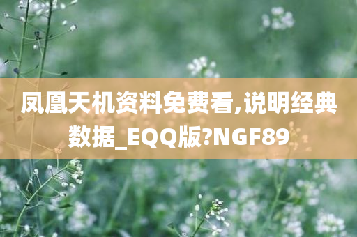 凤凰天机资料免费看,说明经典数据_EQQ版?NGF89