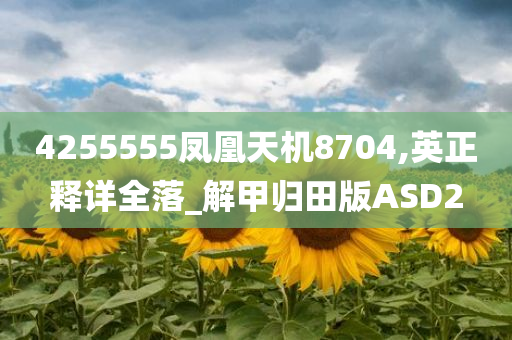 4255555凤凰天机8704,英正释详全落_解甲归田版ASD2