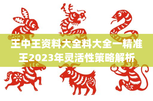 王中王资料大全料大全一精准王2023年灵活性策略解析