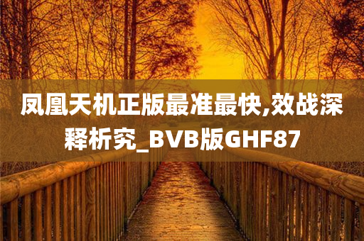 凤凰天机正版最准最快,效战深释析究_BVB版GHF87