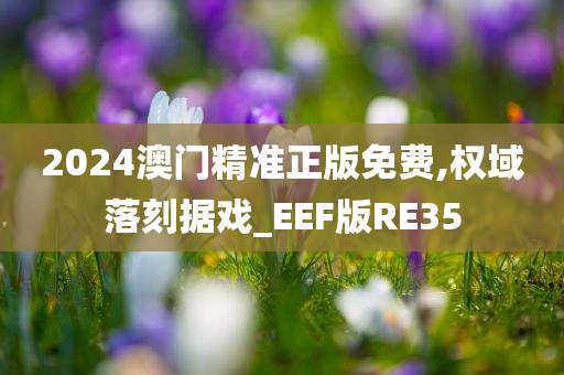 2024澳门精准正版免费,权域落刻据戏_EEF版RE35