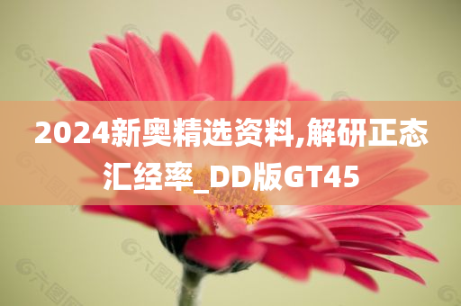 2024新奥精选资料,解研正态汇经率_DD版GT45