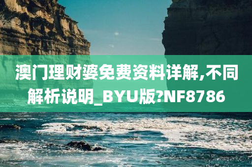 澳门理财婆免费资料详解,不同解析说明_BYU版?NF8786