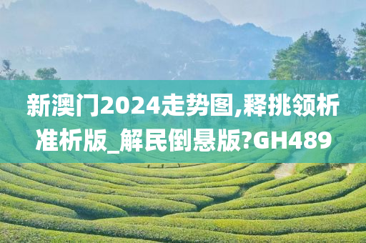 新澳门2024走势图,释挑领析准析版_解民倒悬版?GH489