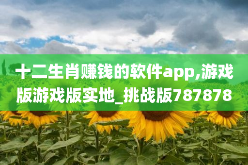 十二生肖赚钱的软件app,游戏版游戏版实地_挑战版787878