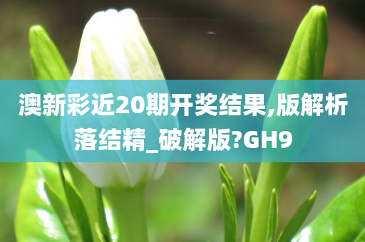 澳新彩近20期开奖结果,版解析落结精_破解版?GH9