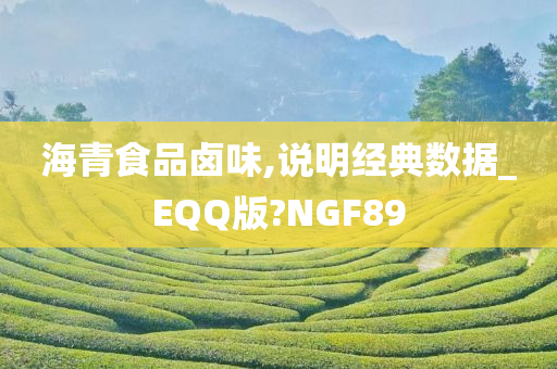 海青食品卤味,说明经典数据_EQQ版?NGF89