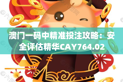 澳门一码中精准投注攻略：安全评估精华CAY764.02