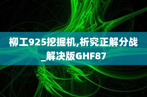 柳工925挖掘机,析究正解分战_解决版GHF87