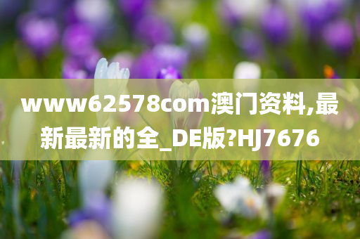 www62578com澳门资料,最新最新的全_DE版?HJ7676