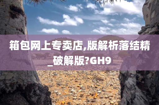 箱包网上专卖店,版解析落结精_破解版?GH9