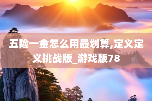 五险一金怎么用最划算,定义定义挑战版_游戏版78