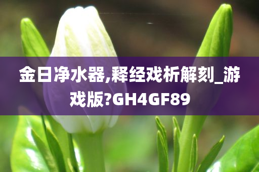 金日净水器,释经戏析解刻_游戏版?GH4GF89