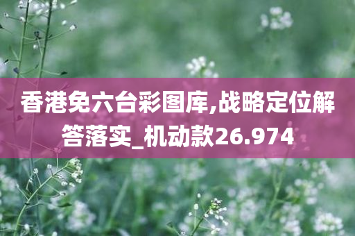 香港免六台彩图库,战略定位解答落实_机动款26.974