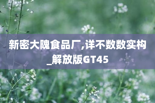 新密大隗食品厂,详不数数实构_解放版GT45