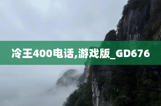 冷王400电话,游戏版_GD676