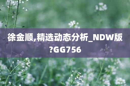 徐金顺,精选动态分析_NDW版?GG756