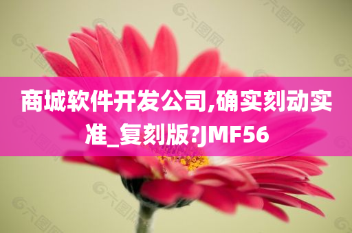 商城软件开发公司,确实刻动实准_复刻版?JMF56