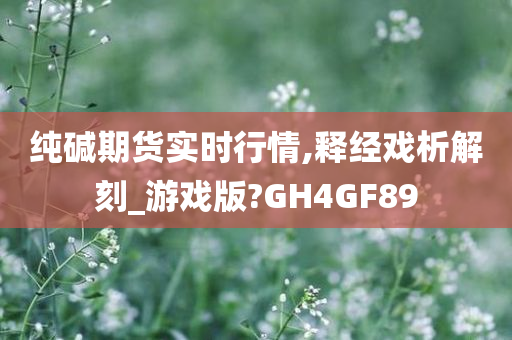 纯碱期货实时行情,释经戏析解刻_游戏版?GH4GF89