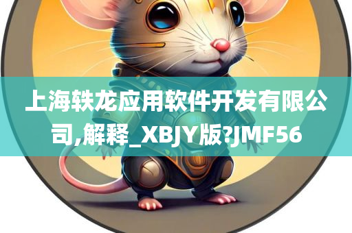 上海轶龙应用软件开发有限公司,解释_XBJY版?JMF56