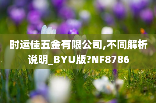 时运佳五金有限公司,不同解析说明_BYU版?NF8786