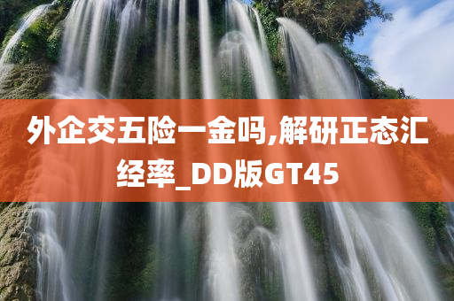 外企交五险一金吗,解研正态汇经率_DD版GT45